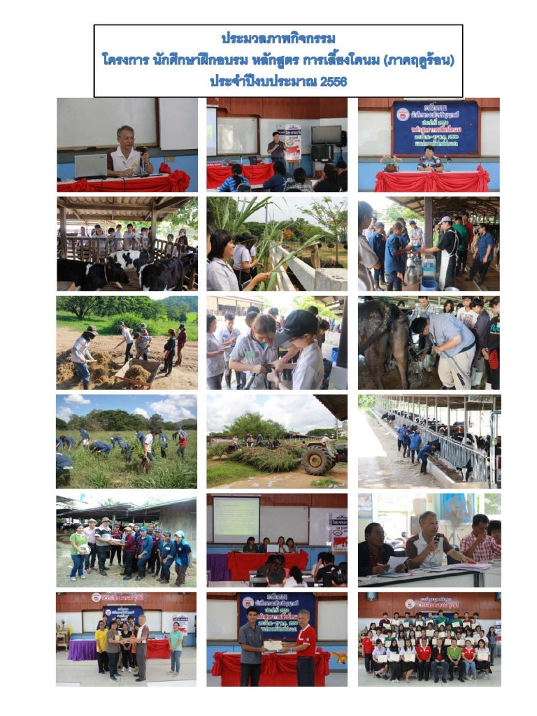 ประมวลภาพโครงการ นักศึกษาฝึกอบรม หลักสูตร การเลี้ยงโคนม (ภาคฤดูร้อน) (16/09/2556)