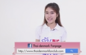 แก้ไข ThaidenmarkFanpage 