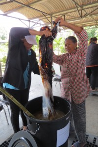 06042559_kk_15