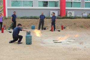 IMG_0954